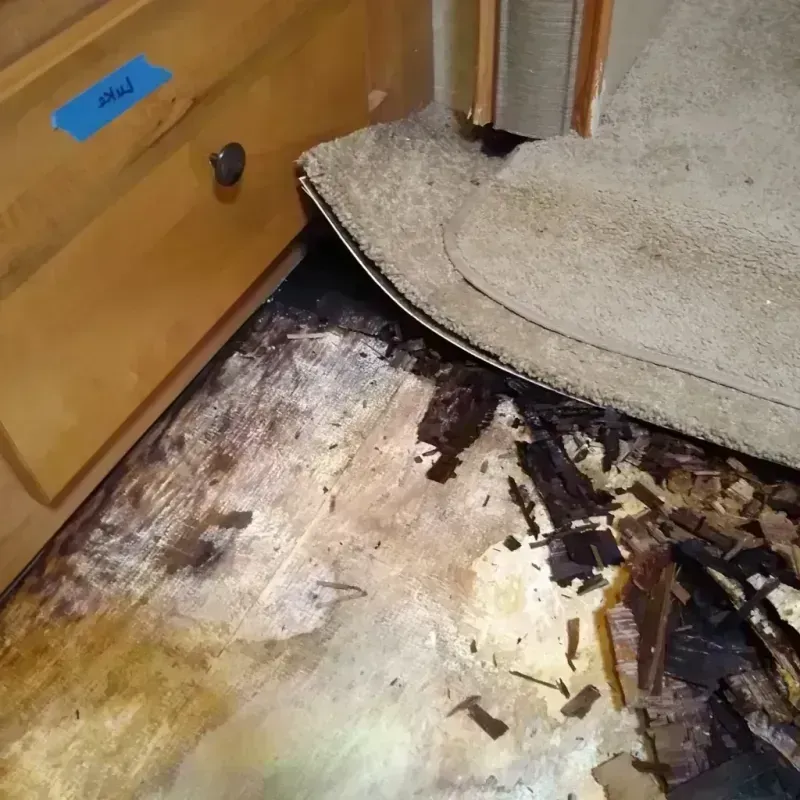 Best Wood Floor Water Damage Service in Friday Harbor, WA